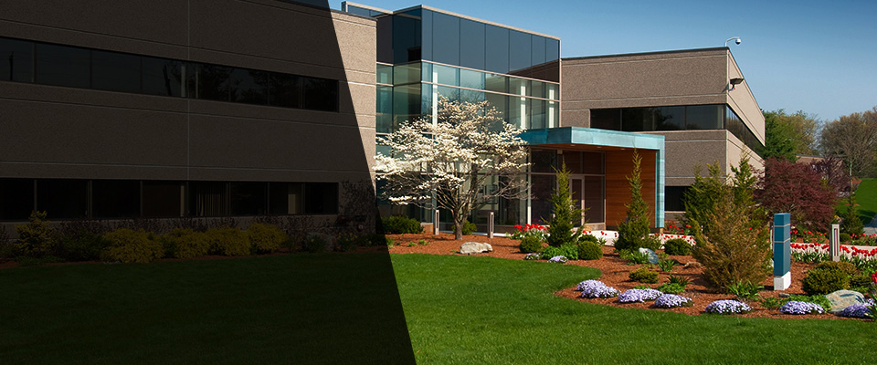 Sunland Park Landscapers