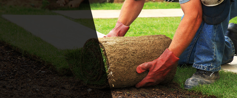 Sunland Park Landscapers